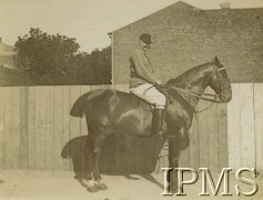 Przed 1914, brak miejsca.
Mężczyzna w stroju jeździeckim na koniu.
Fot. NN, Instytut Polski i Muzeum im. gen. Sikorskiego w Londynie