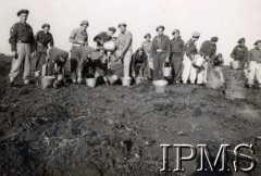 21.10.1946, prawdopodobnie Wielka Brytania.
Polscy żołnierze podczas zbierania ziemniaków. Podpis oryginalny: „O godzinie 8.00 kompania wsparcia wyjeżdża do pracy przy wybieraniu kartofli. Każdy z humorem przystępuje do pracy, w czasie przerwy obiadowej gospodarz częstuje nas herbatą