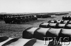 17.11.1943, Palestyna.
Ćwiczenia kompanii transportowej 2 Korpusu.
Fot. NN, Instytut Polski im. gen. Sikorskiego w Londynie.
