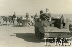 1944, Qassasin, Egipt.
Żołnierze 15 Wileńskiego Batalionu Strzelców 