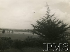 1945-1947, Rongai, Kenia. 
Okolice osiedla dla polskich uchodźców.
Fot. NN, kolekcja: Osiedla polskie w Afryce, Instytut Polski i Muzeum im. gen. Sikorskiego w Londynie