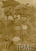 1943-1946, Rusape, Rodezja Południowa.
Osiedle dla polskich uchodźców. Chłopcy przy budkach dla gołębi. Podpis oryginalny: 