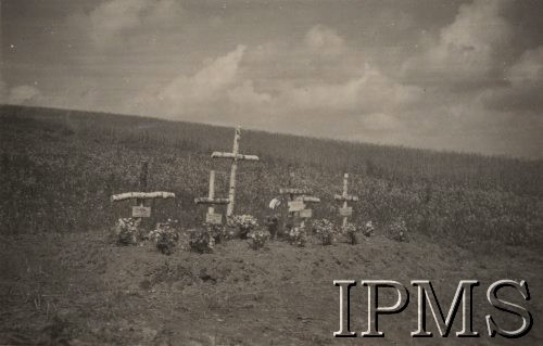 Po 22.06.1941, Domażyr, obwód Lwów, Ukraina, ZSRR.
Kwiaty na grobach sześciu żołnierzy niemieckich. W oddali widok na rozległe pola uprawne. Orginalny napis w języku niemieckim: 