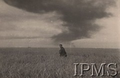 Po 22.06.1941, Podwysokie, obwód Lwów, Ukraina, ZSRR.
Żołnierz z Dywizji Strzelców Górskich przemierza pola ze zbożem. Na dalszym planie widoczny jest dym pochodzący z pożaru. Orginalny podpis w języku niemieckim: 