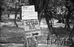 11-18.05.1944, Cassino, Włochy.
Walki 2 Korpusu Polskiego pod Monte Cassino. Na pniu drzewa trzy tablice z napisami dwoma po polsku: 