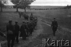 1944, Wileńszczyzna.
Dwa plutony 5 Brygady w marszu.
Fot. Sergiusz Sprudin [zbiór zdjęć Janusza Chorążaka nr. 55], zbiory Ośrodka KARTA

