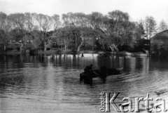 1944, Wileńszczyzna.
Dwaj partyzanci 5 Bryg. Part. AK łowią z łódki ryby w stawie. [Jeden z nich to prawdopodobnie rtm Zygmunt Szendzielarz 