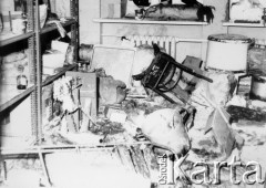 25.06.1976, Radom. 
Wydarzenia radomskie - czerwiec 1976. Zdemolowane wnętrza w budynku KW PZPR - kuchnia.
Fot. NN, zbiory Ośrodka KARTA [sygn. OK 010644]

