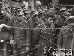 15.05.1944, rejon Monte Cassino, Włochy.
Jeńcy niemieccy wzięci do niewoli przez Francuzów podczas przełamywania Linii Gustawa.
Fot. NN, zbiory Instytutu Józefa Piłsudskiego w Londynie
