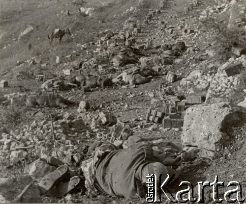 14-15.05.1944, Cassino, Włochy.
Bitwa pod Monte Cassino. Zwłoki poległych żołnierzy i zabitych zwierząt leżące na drodze. Podpis: 