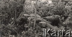 Maj 1944, rejon Monte Cassino, Włochy.
Bitwa pod Monte Cassino, zwłoki poległego żołnierza.
Fot. NN, zbiory Instytutu Józefa Piłsudskiego w Londynie