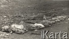 Maj 1944, rejon Monte Cassino, Włochy.
Bitwa pod Monte Cassino. Zwłoki poległych żołnierzy leżące przy drodze na noszach.
Fot. NN, zbiory Instytutu Józefa Piłsudskiego w Londynie