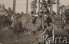 1915, Wołyń.
Legiony Polskie. Józef Piłsudski wraz ze sztabem.
Fot. NN, zbiory Instytutu Józefa Piłsudskiego w Londynie
