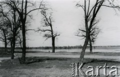 4.04.1940, Bielany.
Las bielański.
Fot. F. Krabicka, zbiory Ośrodka KARTA, udostępniła Agata Bujnowska
