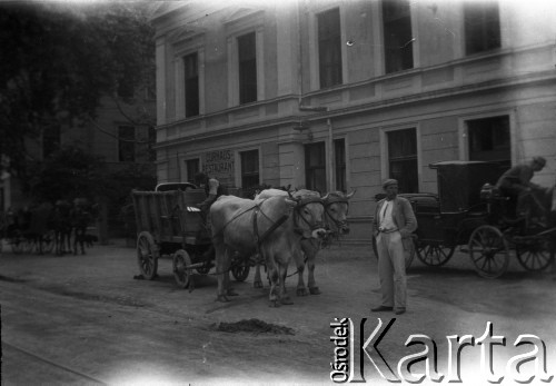 1908, Meran, Włochy.
Zaprzęg z wołami przed hotelem.
Fot. NN, zbiory Ośrodka KARTA, udostępniła Barbara Krzystek