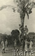 27.10.1943, Nazaret, Palestyna.
Polscy żołnierze wchodzący na palmę.
Fot. NN, zbiory Ośrodka KARTA, udostępniła Anna Kołodziejska