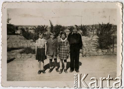 1944-1945, brak miejsca.
Dzieci w drodze z Isfahani (Iran) do Ghaziru (Liban). 2 z prawej stoi Barbara Dubowska, po mężu Hulanicka.
Fot. NN, kolekcja Barbary Hulanickiej, zbiory Ośrodka KARTA