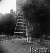 1936, Rumunia.
Przystrzyganie drzewa.
Fot. NN, kolekcja Witolda Lis-Olszewskiego, zbiory Ośrodka KARTA