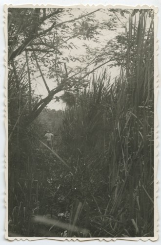 Po 1948, Argentyna.
W lesie.
Fot. NN, udostępniła Jolanta Woszczynin.