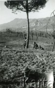 1944, wzgórze Monte Cassino, Włochy.
Kampania włoska. Piechota w akcji w rejonie wzgórza Monte Cassino.
Fot. NN, zbiory Ośrodka KARTA, udostępniła Magdalena Braun