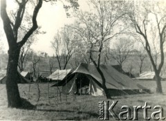 1944, Włochy.
Namioty obozu wojskowego.
Fot. NN, zbiory Ośrodka KARTA, udostępniła Magdalena Braun