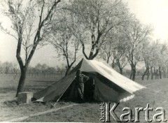 1944, Włochy.
Namiot wojskowy.
Fot. NN, zbiory Ośrodka KARTA, udostępniła Magdalena Braun
