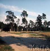 1972-1973, okolice Warszawy, Polska.
Podwarszawski krajobraz.
Fot. Lubomir T. Winnik, zbiory Ośrodka KARTA