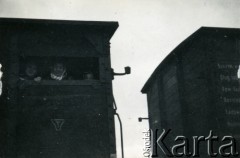 1939-1945, prawdopodobnie okolice Jasła.
Kobiety w wagonie towarowym.
Fot. NN, album nieznanego żołnierza Wehrmachtu, kolekcja Tomasza Kopańskiego, zbiory Ośrodka KARTA