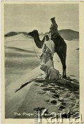 Brak daty, Bliski Wschód.
Karta pocztowa przedstawiająca modlącego się muzułmanina na pustyni. U dołu napis w języku angielskim: 
