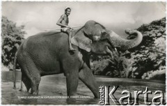 Kandy, Cejlon (Sri Lanka).
Mężczyzna na słoniu w rzece.
Fot. NN, kolekcja Wacława Urbanowicza, zbiory Ośrodka KARTA