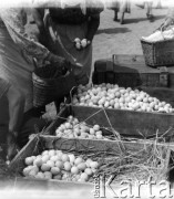 Po 1945, Adamowo, woj. lubelskie, Polska.
Prywatni handlarze skupują jaja na targu. 
Fot. Jerzy Konrad Maciejewski, zbiory Ośrodka KARTA
