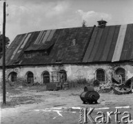 Prawdopodobnie lata 50., Białogon k. Kielc, woj. kieleckie, Polska.
Fragment budynku huty 