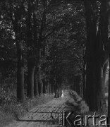 Czerwiec 1948, Cieplice Śląskie-Zdrój, woj. wrocławskie, Polska. 
Kobiety spacerują po parku.
Fot. Jerzy Konrad Maciejewski, zbiory Ośrodka KARTA