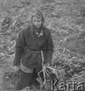 1951, Dębnica k. Człuchowa, woj. koszalińskie, Polska.
Krystyna Hussówna, córka jednego z członków Rolniczej Spółdzielni Produkcyjnej 