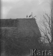 1971, Paszki Duże k. Borek Radzyńskich, woj. lubelskie, Polska.
Dwa bociany stoją na dachu budynku.
Fot. Jerzy Konrad Maciejewski, zbiory Ośrodka KARTA