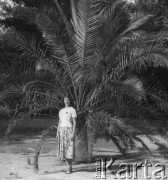 Lato 1964, Warszawa, Polska.
Kobieta pozuje pod drzewem palmowym, które rośnie w ogrodach w Łazienkach Królewskich.
Fot. Jerzy Konrad Maciejewski, zbiory Ośrodka KARTA