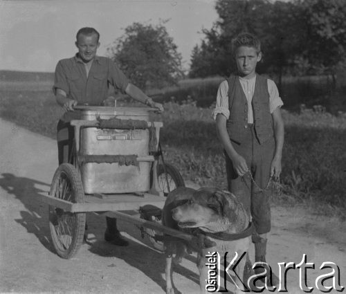 Lato 1940, Weier im Emmental, Szwajcaria.
Mężczyzna transportuje mleko na wózku, który ciągnie pies. Obok stoi chłopiec, który trzyma łańcuch.
Fot. Jerzy Konrad Maciejewski, zbiory Ośrodka KARTA