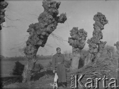 Wiosna 1940, La Maucarriere, Francja.
Żołnierz 2. Dywizji Strzelców Pieszych wraz z psem pozuje do zdjęcia na tle przydrożnych wierzb.
Fot. Jerzy Konrad Maciejewski, zbiory Ośrodka KARTA