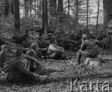 1942-1944, Münchenbuchsee, Szwajcaria.
Żołnierze 2. Dywizji Strzelców Pieszych słuchają prawdopodobnie wykładu podczas ćwiczeń w terenie.  
Fot. Jerzy Konrad Maciejewski, zbiory Ośrodka KARTA

