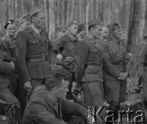 1942-1944, Münchenbuchsee, Szwajcaria.
Żołnierze 2. Dywizji Strzelców Pieszych podczas ćwiczeń terenowych w lesie. 
Fot. Jerzy Konrad Maciejewski, zbiory Ośrodka KARTA
