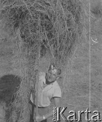 1942-1944, Münchenbuchsee, Szwajcaria.
Internowany żołnierz 2. Dywizji Strzelców Pieszych pracuje podczas żniw u szwajcarskiej rodziny.
Fot. Jerzy Konrad Maciejewski, zbiory Ośrodka KARTA
