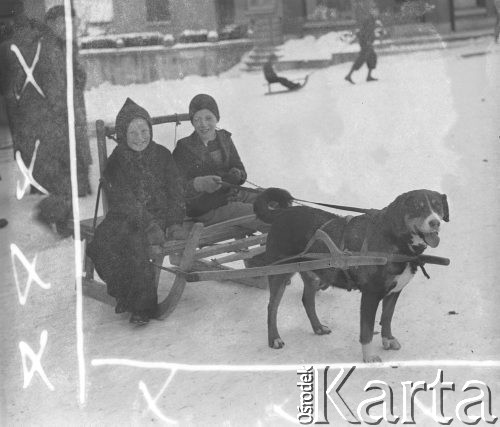 1942-1944, Münchenbuchsee, Szwajcaria.
Pies zaprzęgnięty do sanek, na których siedzą dwaj chłopcy. 
Fot. Jerzy Konrad Maciejewski, zbiory Ośrodka KARTA 
