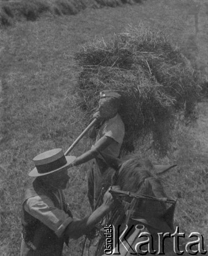 1942-1944, Münchenbuchsee, Szwajcaria.
Żołnierz z 2. Dywizji Strzelców Pieszych pracuje ze szwajcarską rodziną przy żniwach. Na zdjęciu niesie na widłach snopki, które wrzuci na wóz zaprzęgnięty w konia.
Fot. Jerzy Konrad Maciejewski, zbiory Ośrodka KARTA
