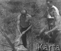 1942-1945, Senhoff, Szwajcaria.
Żołnierze 2. Dywizji Strzelców Pieszych z obozu internowania podczas pracy na polu przy rozbijaniu żelaznych pali, na których były przymocowane druty kolczaste.
Fot. Jerzy Konrad Maciejewski, zbiory Ośrodka KARTA