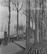 1945-1946, Lys-lez-Lannoy, Francja.
Fragment miasta. Po drodze idzie mężczyzna.
Fot. Jerzy Konrad Maciejewski, zbiory Ośrodka KARTA

