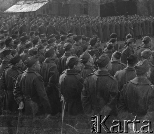 1945-1946, Lys-lez-Lannoy, Francja.
Żołnierze 2. Dywizji Strzelców Pieszych zebrani prawdopodobnie na jakiejś uroczystości.
Fot. Jerzy Konrad Maciejewski, zbiory Ośrodka KARTA
