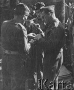 1945-1946, Lys-lez-Lannoy, Francja.
Żołnierze 2. Dywizji Strzelców Pieszych oglądają zdjęcia.
Fot. Jerzy Konrad Maciejewski, zbiory Ośrodka KARTA
