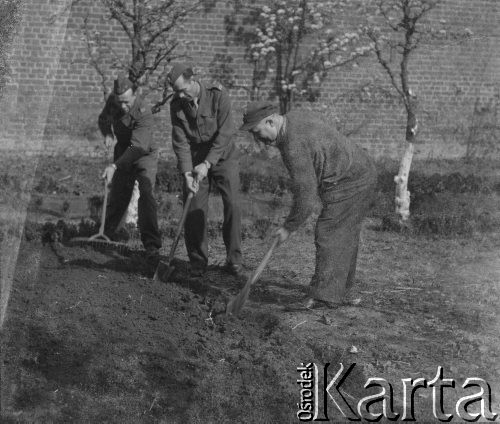 1945-1946, Lys-lez-Lannoy, Francja.
Żołnierze z 2. Dywizji Strzelców Pieszych prawdopodobnie przygotowują na terenie fabryki miejsce na obozowy ogród.
Fot. Jerzy Konrad Maciejewski, zbiory Ośrodka KARTA
