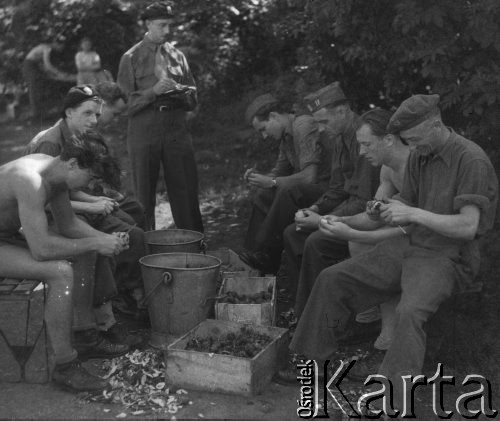 1946, Annappes, Francja.
Żołnierze z 2. Dywizji Strzelców Pieszych podczas obierania ziemniaków. We francuskim obozie oczekują na powrót do kraju po 5-letnim internowaniu w Szwajcarii.
Fot. Jerzy Konrad Maciejewski, zbiory Ośrodka KARTA
