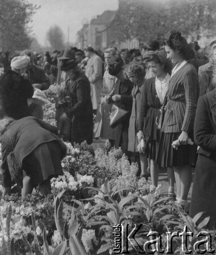 19.04.1946, Tournai, Belgia.
Bernadette i Therese na jarmarku kwiatów, który odbywa się co roku w Wielki Piątek.
Fot. Jerzy Konrad Maciejewski, zbiory Ośrodka KARTA